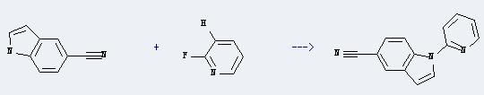 5-Cyanoindole can react with 2-fluoro-pyridine to produce 5-cyano-N-(2-pyridyl)indole